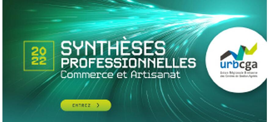 Synthèses professionnelles URBCGA